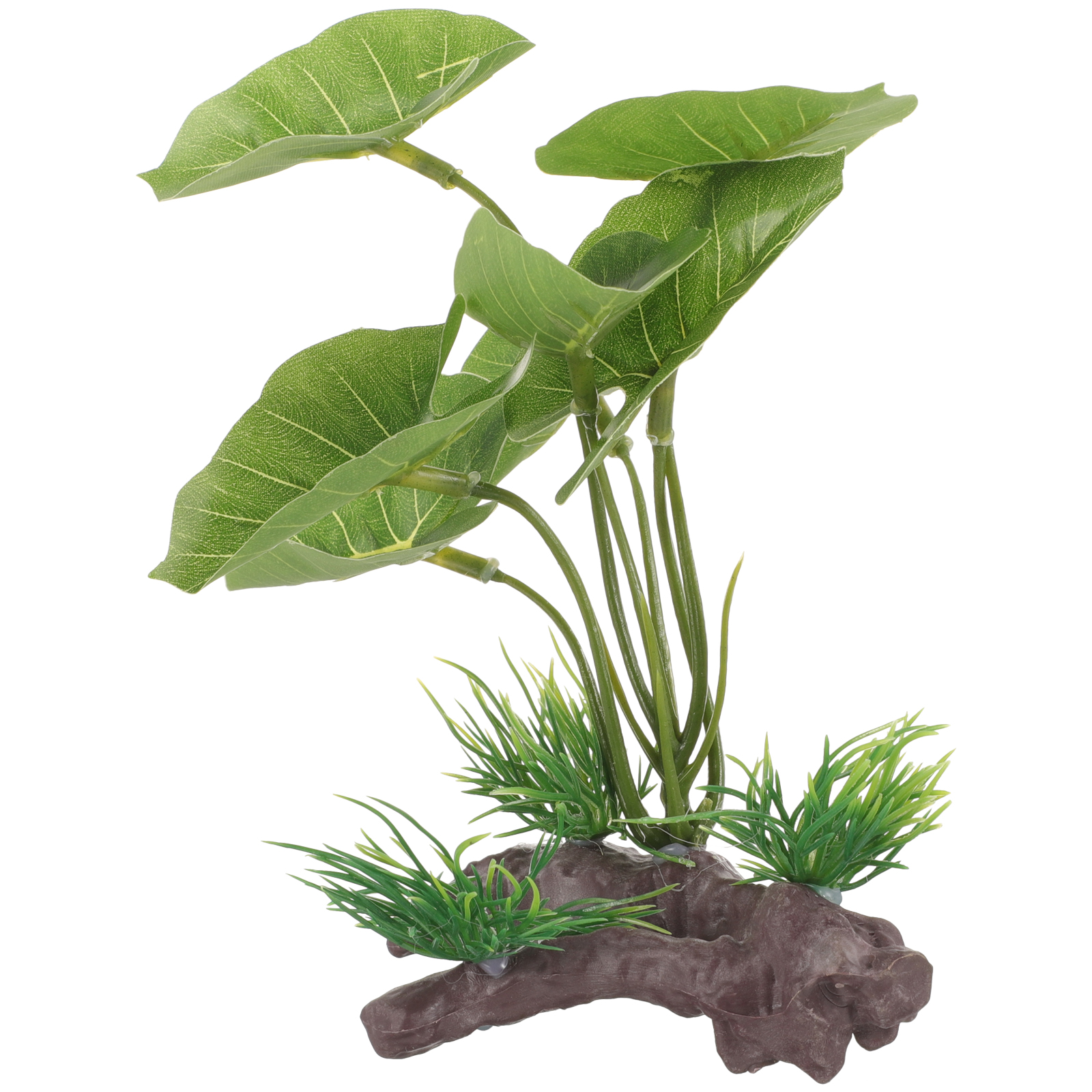 Img
